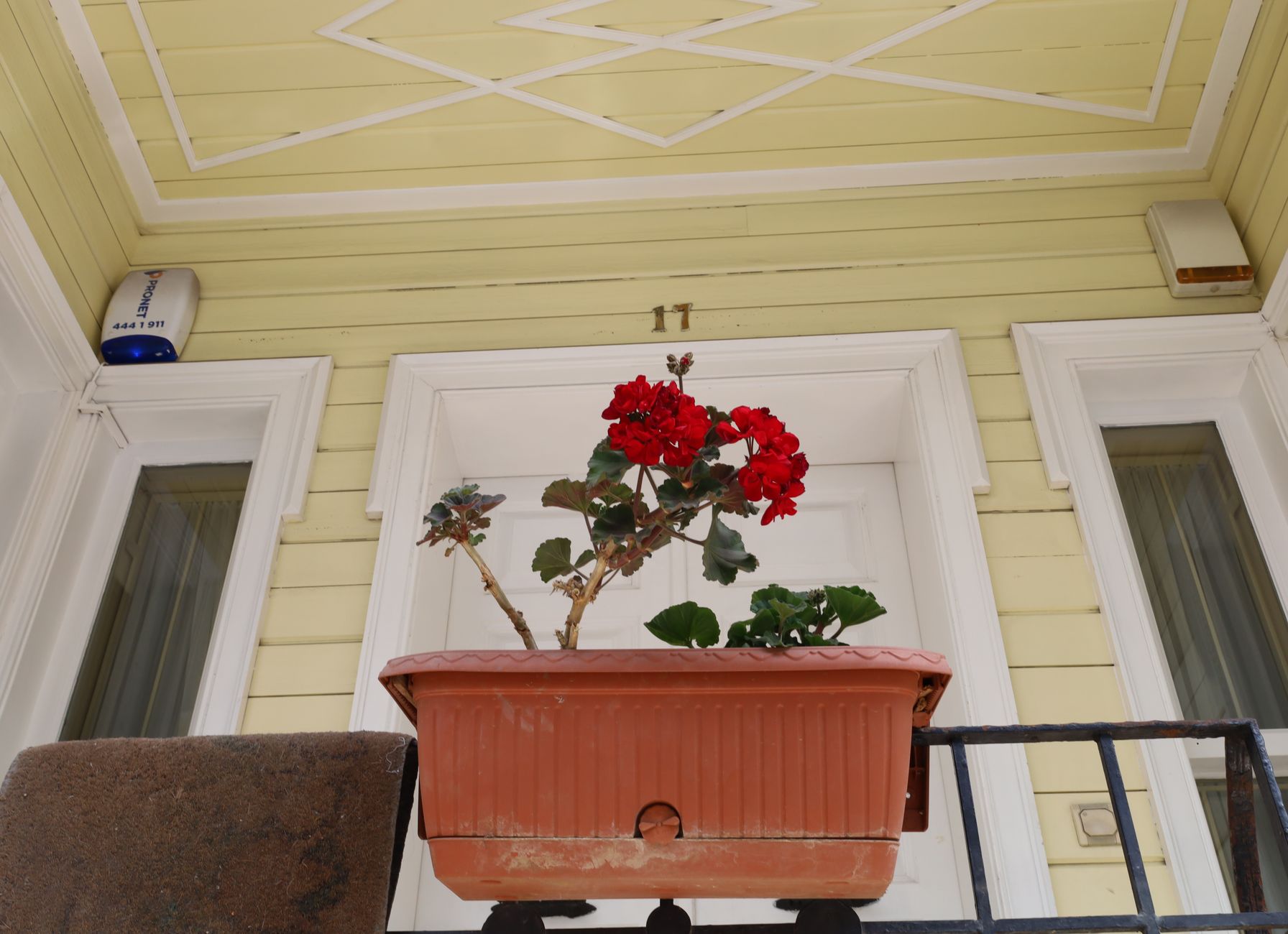 Elegant red geraniums in a terracotta planter on a porch with yellow siding.