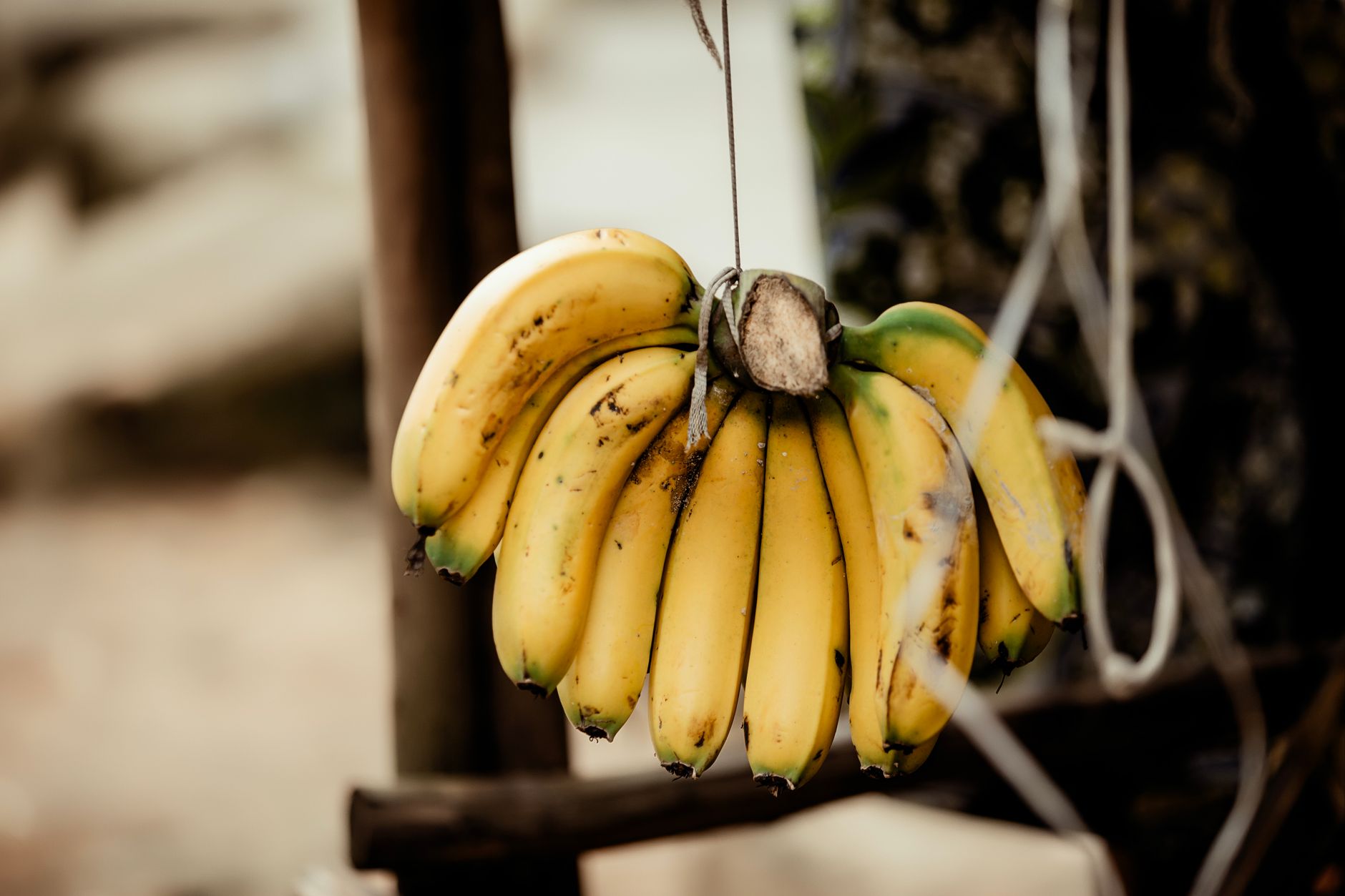 A bunch of ripe yellow bananas hanging outdoors, providing an organic, tropical feel.