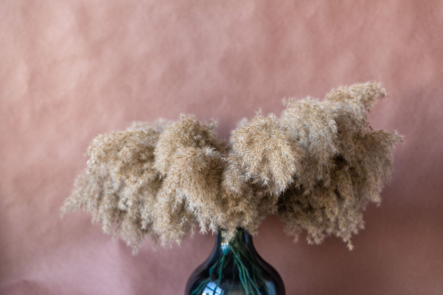 Aesthetic close-up of dried pampas grass in a vase against a soft pink background.
