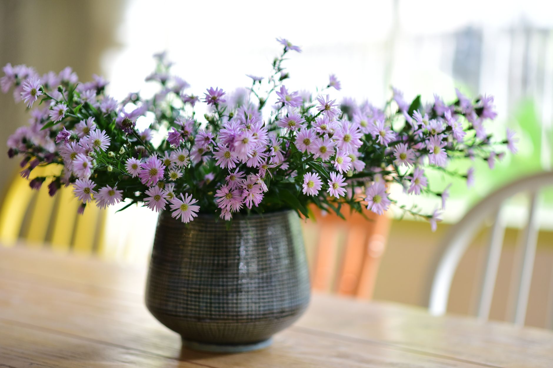 A lively arrangement of purple asters in a textured checkered vase on a wooden table indoors.