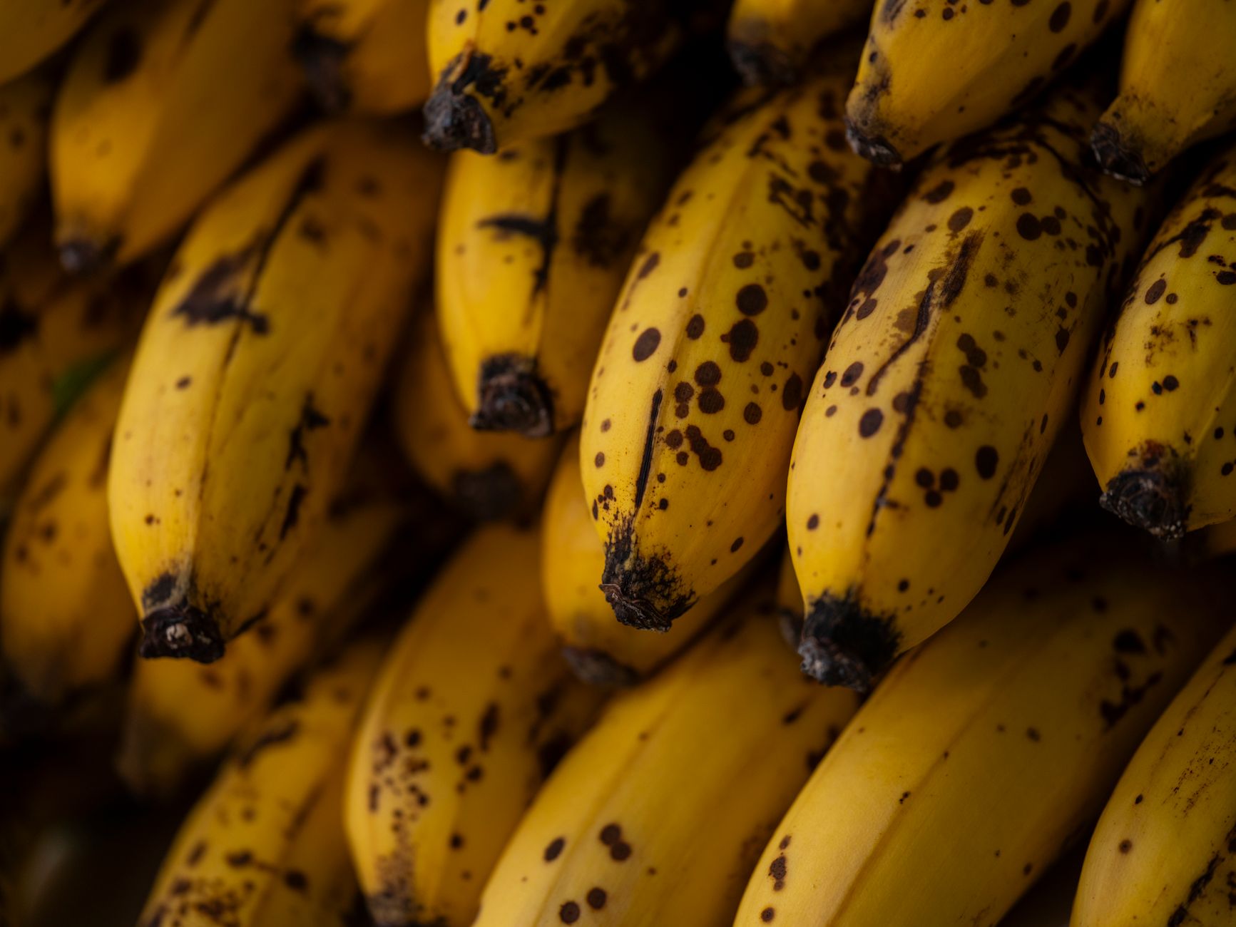 Detailed close-up of ripe yellow bananas with brown spots, perfect for healthy eating concepts.