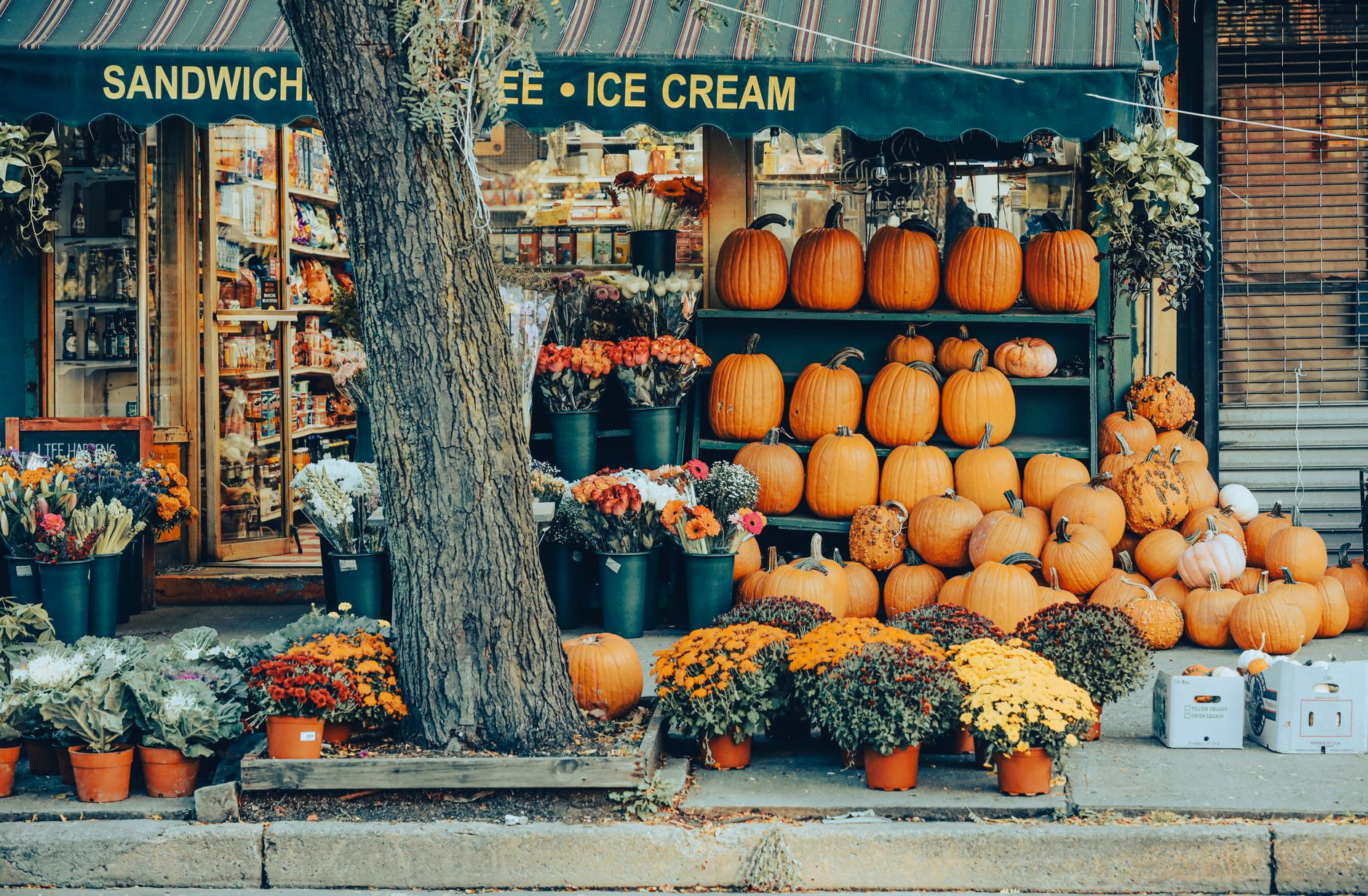 Charming street market in NYC with pumpkins and colorful flowers showcasing fall variety.