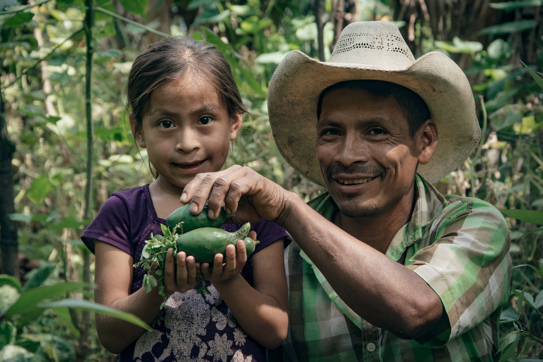 Father and daughter joyfully harvesting green vegetables together in a lush outdoor setting.
