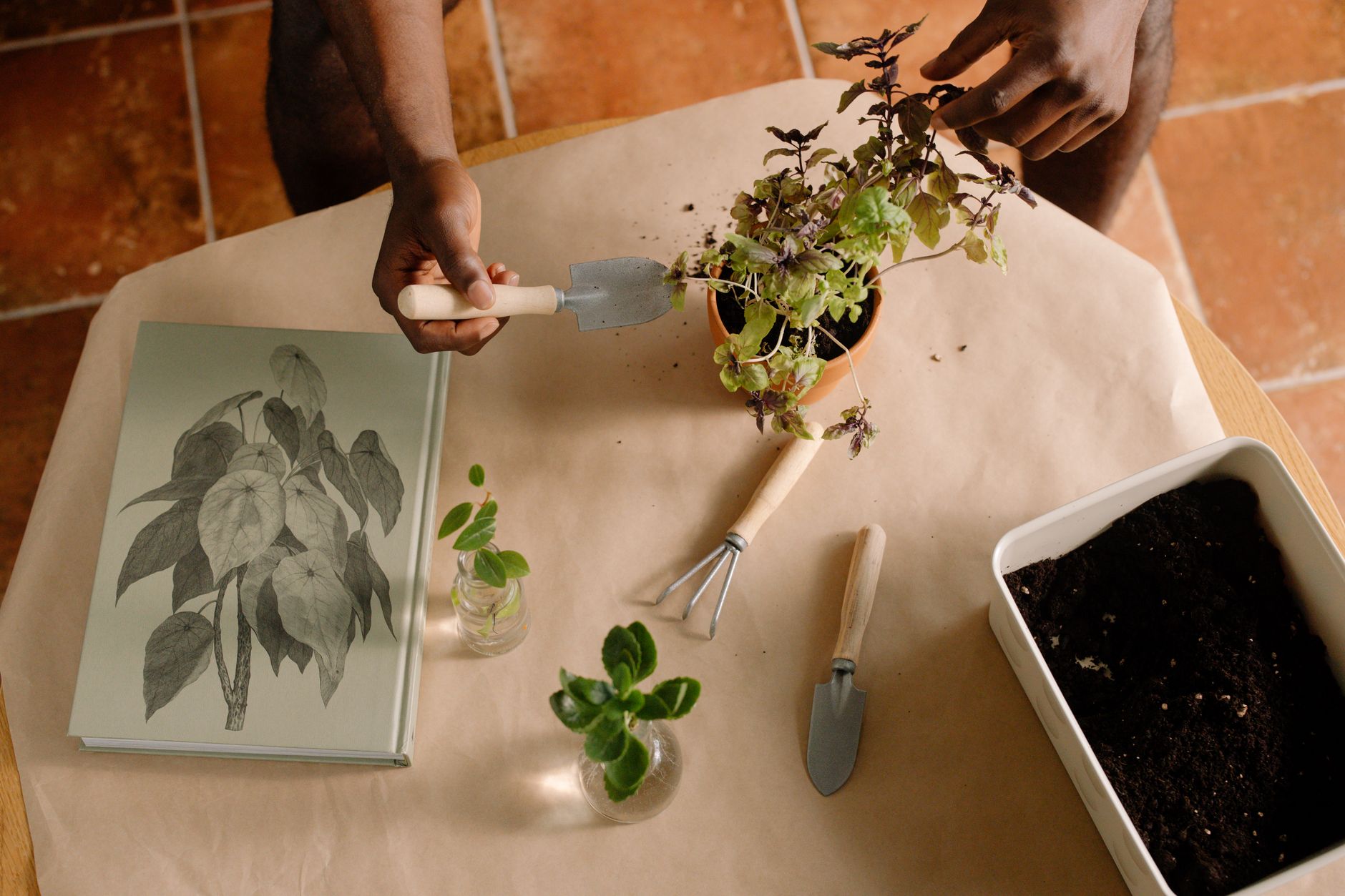 Hands preparing indoor plants in pots with gardening tools and book.