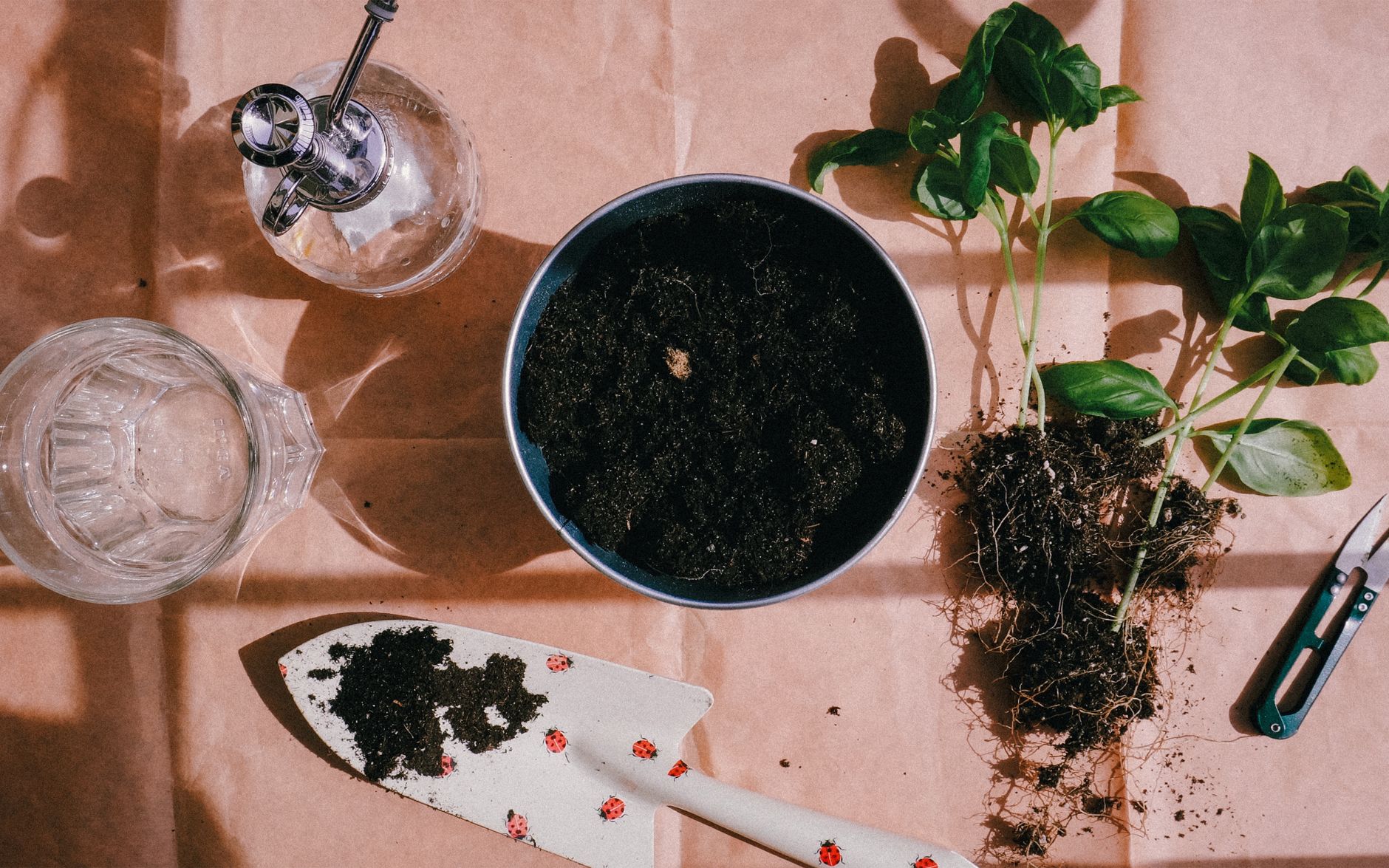 Flat lay of gardening tools, soil, and seedlings ready for planting.