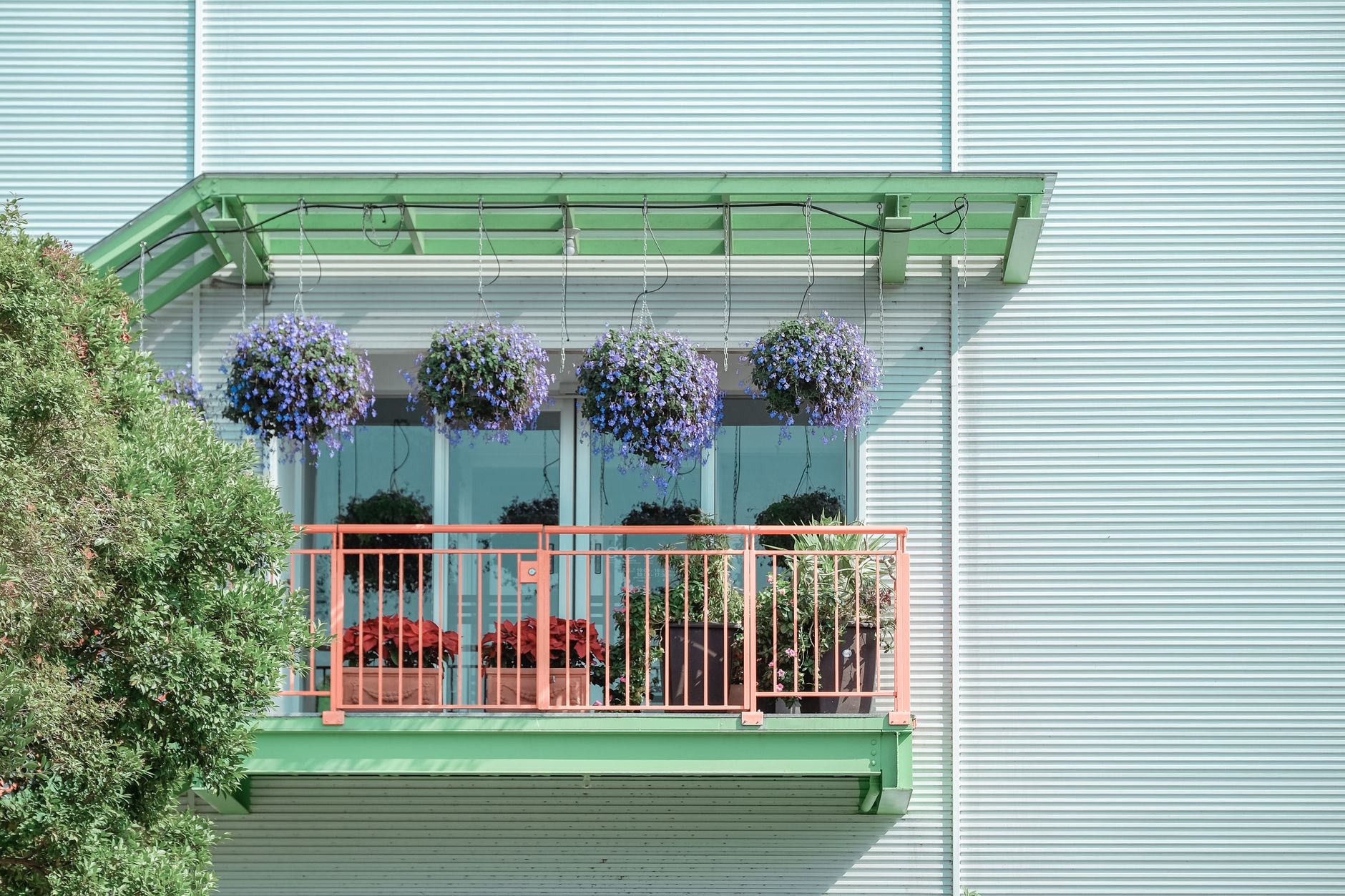 A vibrant balcony adorned with hanging purple flowers and potted plants, adding charm to a modern facade.