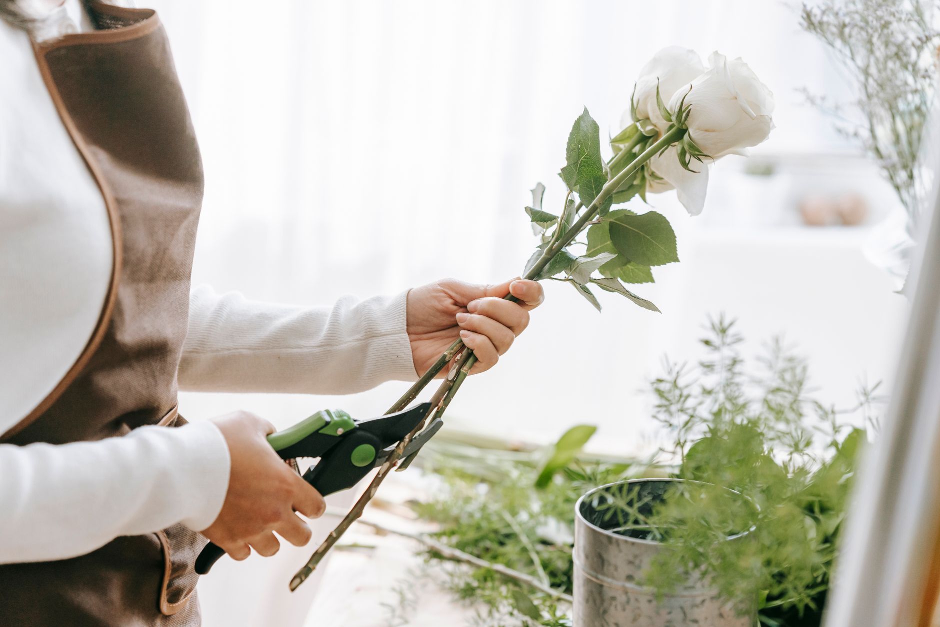 Side view of crop unrecognizable female cutting stalk of blossoming white flower with secateurs at work in shop in sunlight