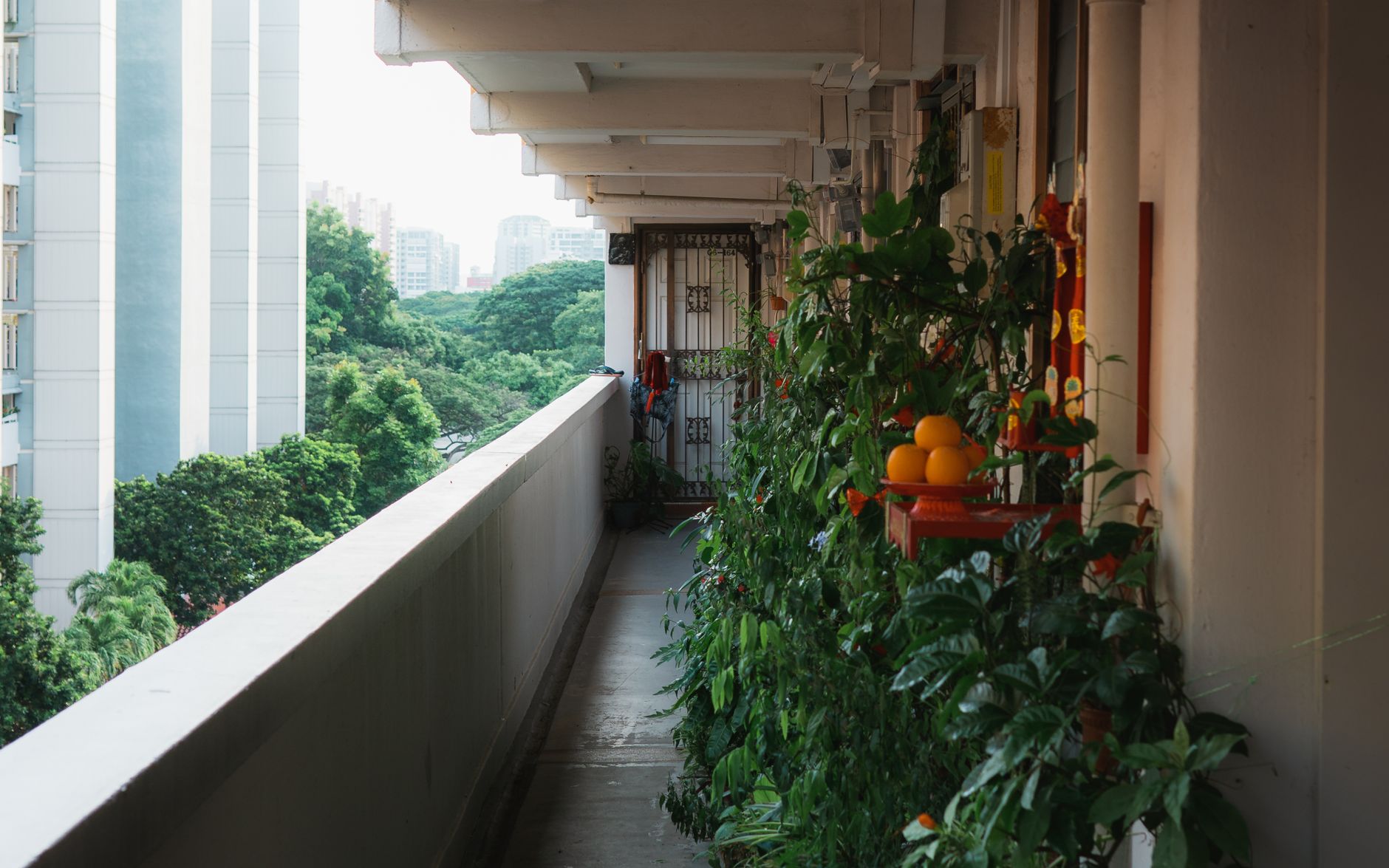 A lush balcony garden in an urban setting, featuring vibrant green plants and distant skyscrapers.