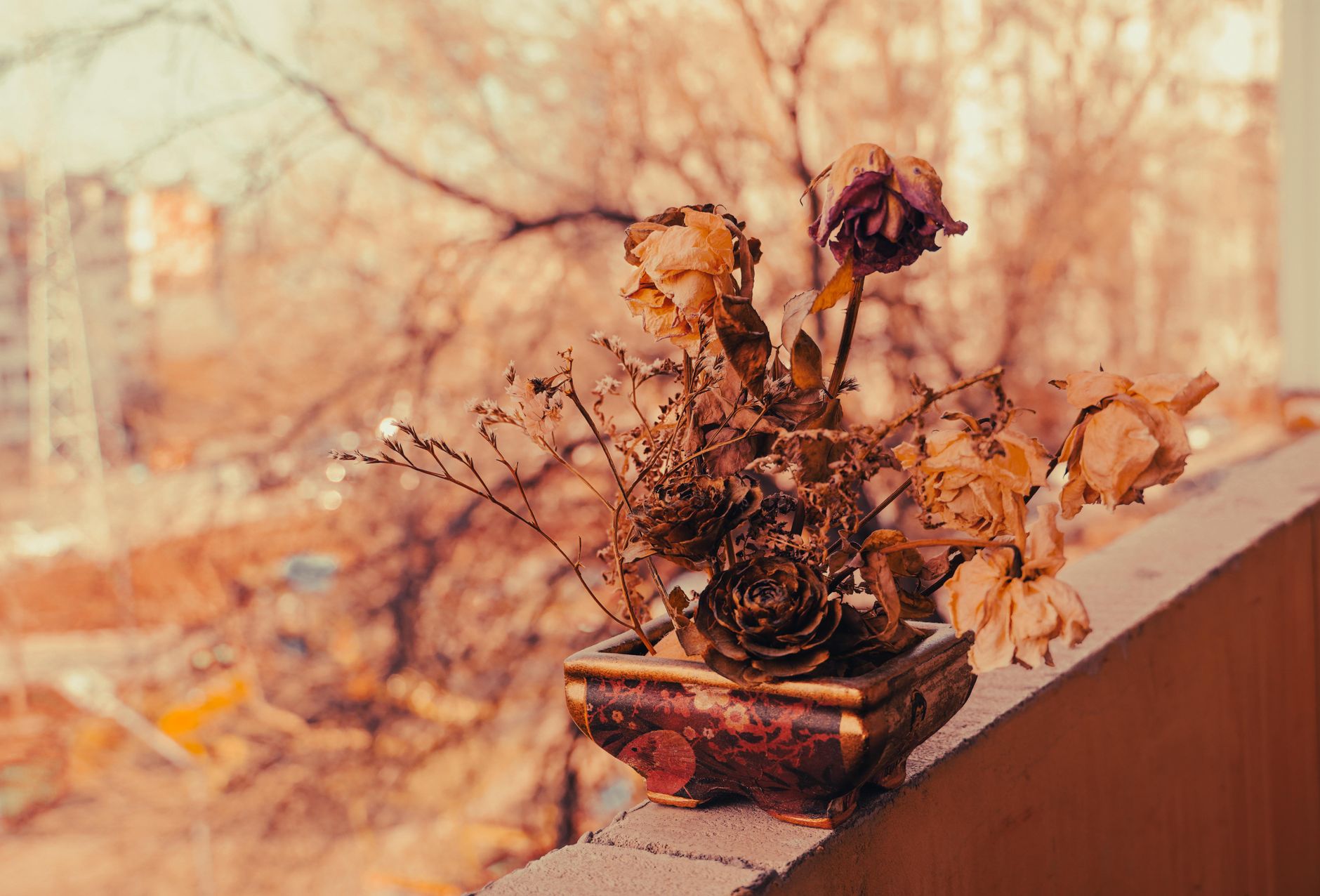 Aesthetic view of dried flowers in an ornate pot on a balcony railing with a blurred outdoor background.