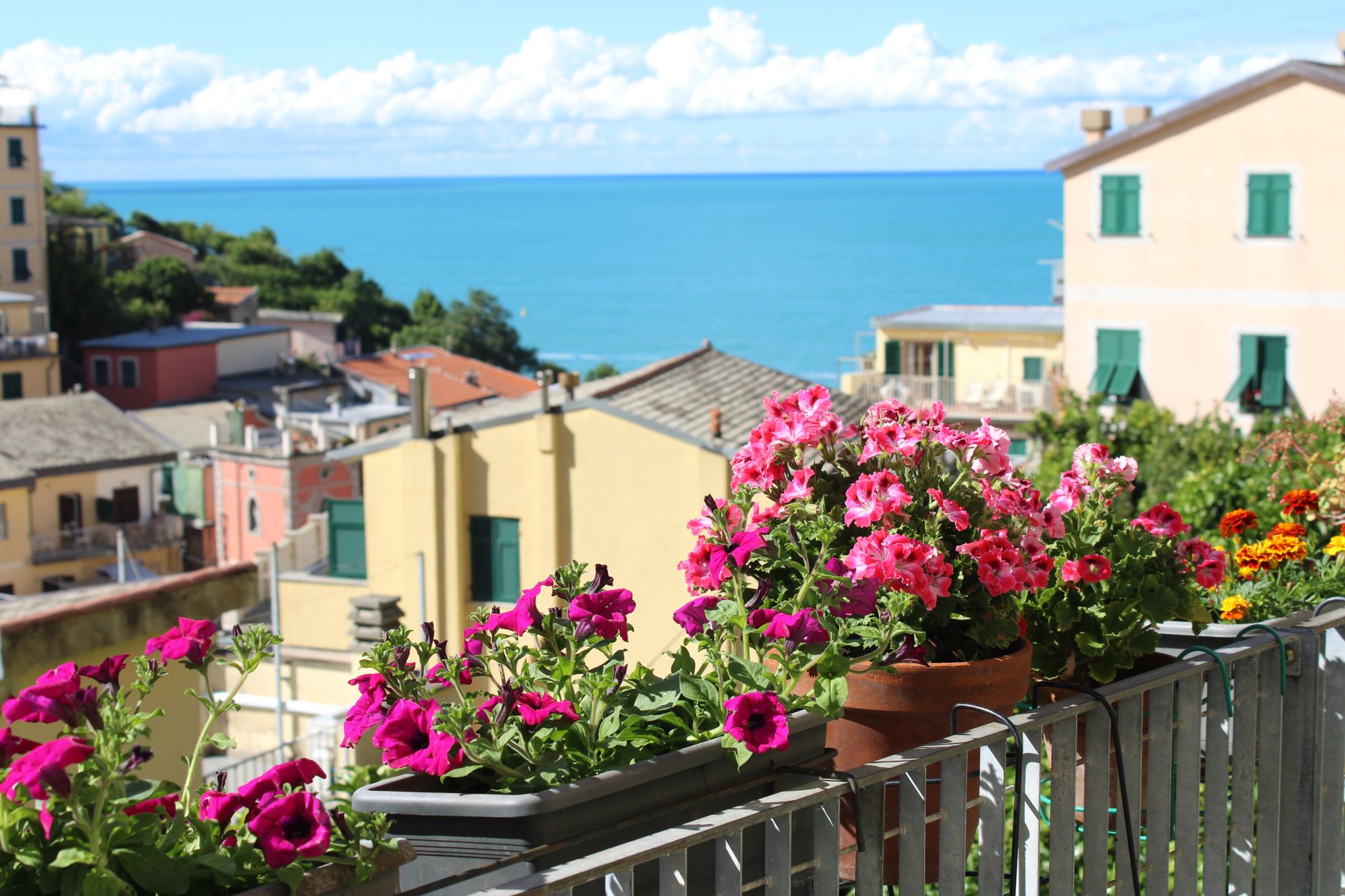 Colorful flowers on a balcony overlooking the sea in Riomaggiore, Italy.
