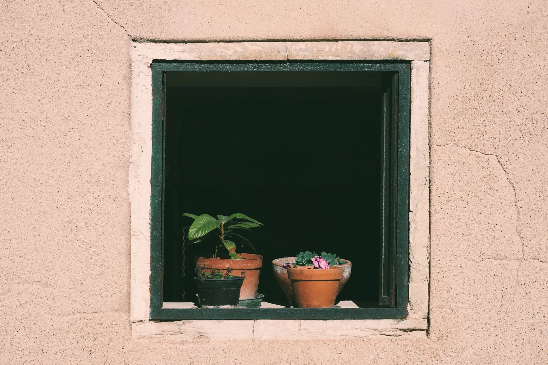 Aesthetic shot of potted plants on a sunlit window sill, perfect for home decor inspiration.