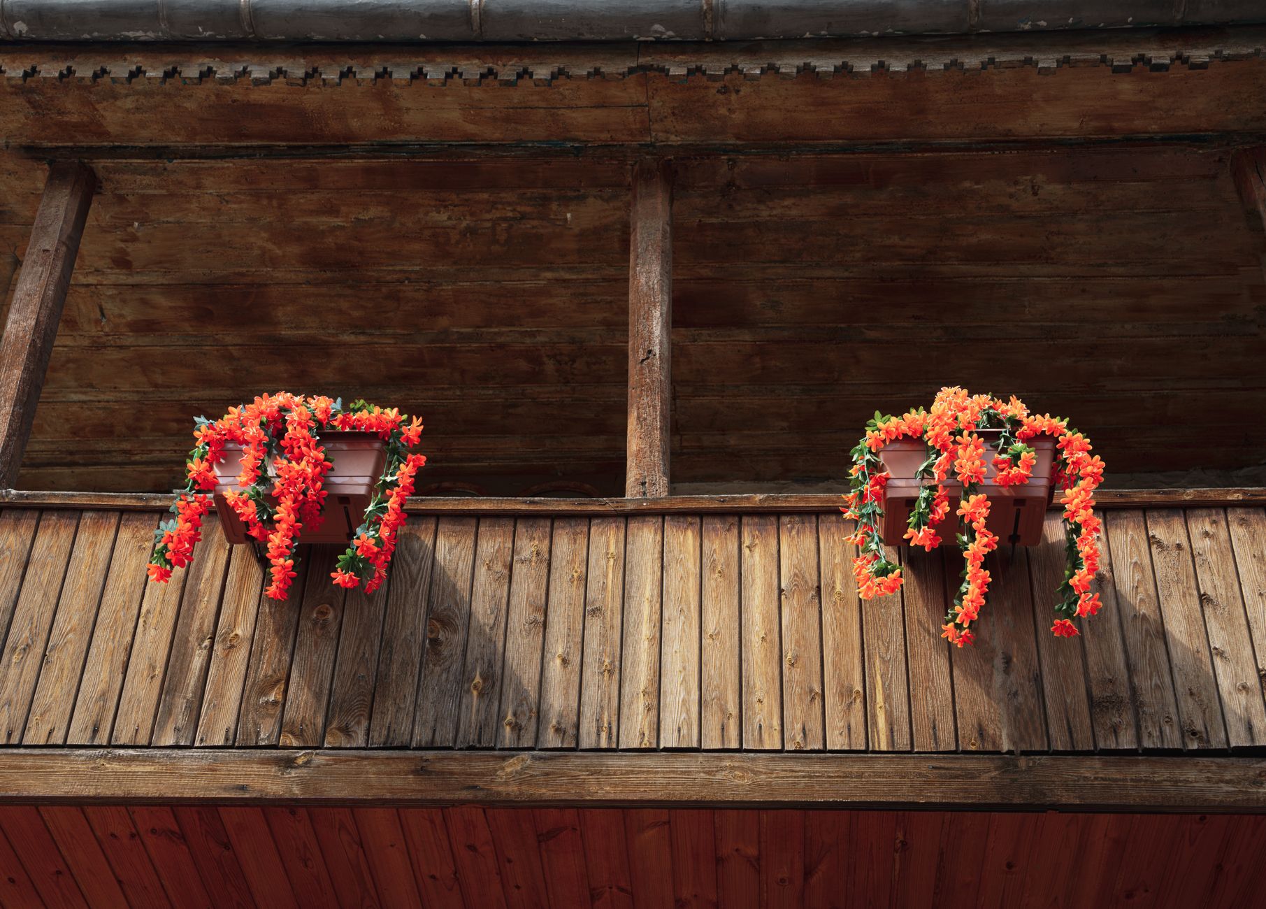 Rustic wooden balcony with red trailing flowers in sunlight.