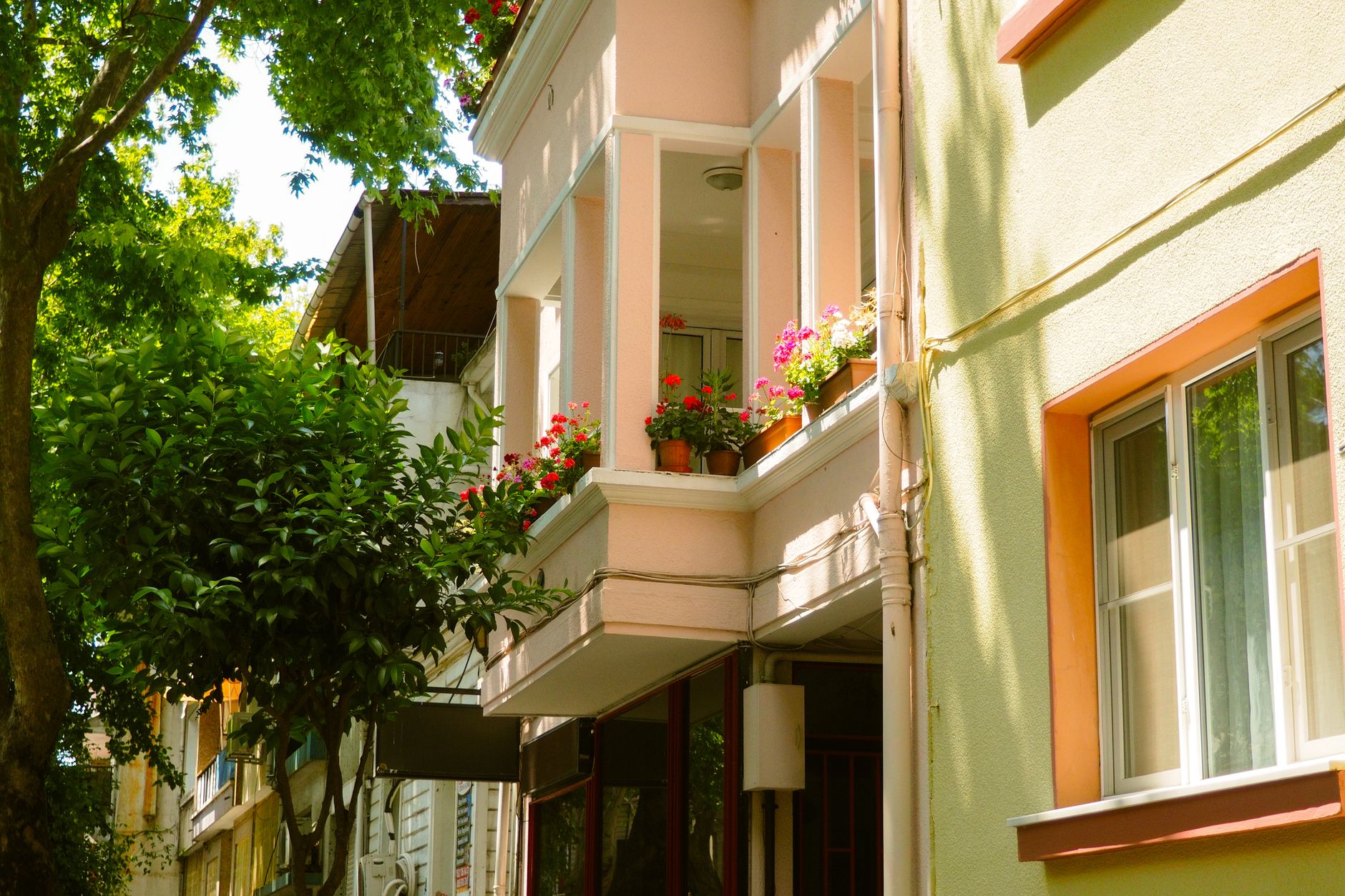 Sunlit European balcony adorned with colorful flowers, creating a charming residential street scene.