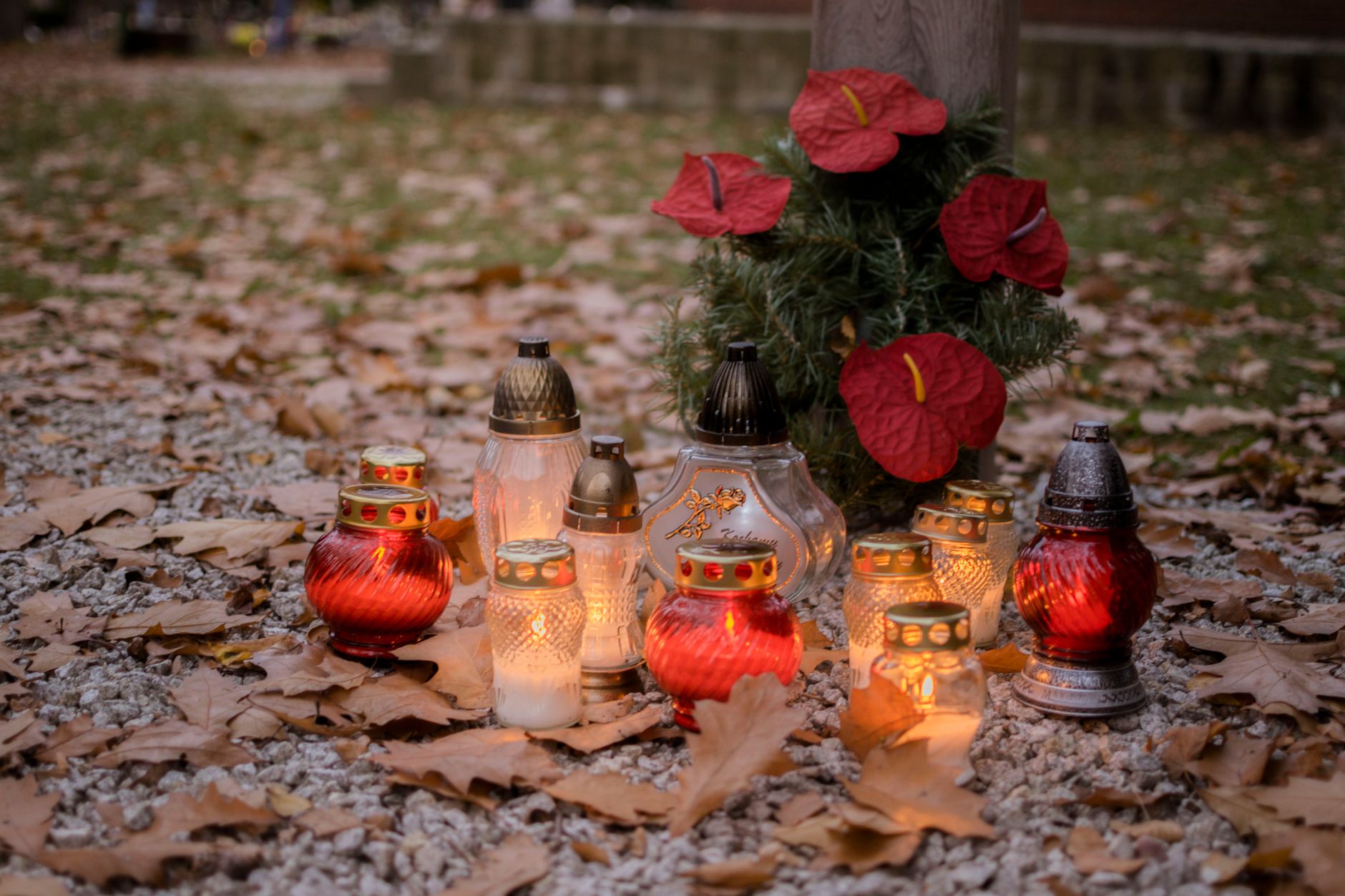 Beautifully arranged memorial lanterns and red flowers surrounded by autumn leaves.